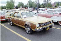 1974 AMC Hornet Station Wagon